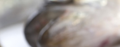 Ribje olje za srce in možgane.